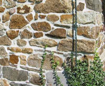 evidence of bake oven